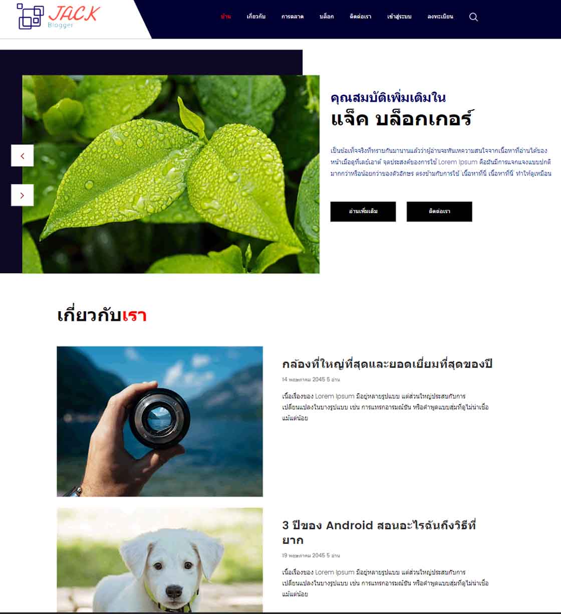 ทำเว็บไซต์ สำเร็จรูป
